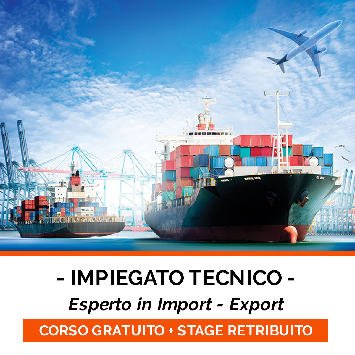 IMPIEGATO-TECNICO-IMPORT-EXPORT